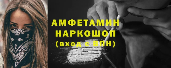 стаф Аркадак
