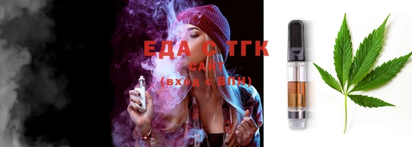 стаф Аркадак