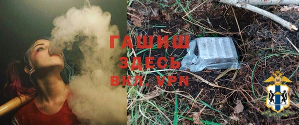 стаф Аркадак