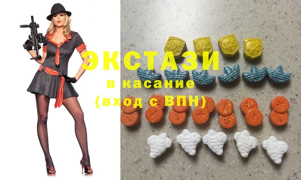 стаф Аркадак