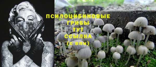 прущий лед Армянск