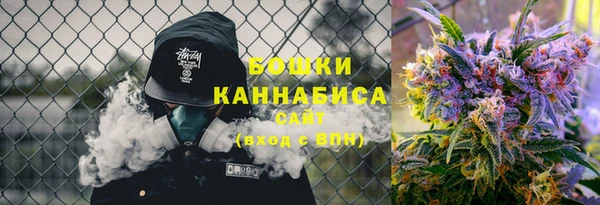 стаф Аркадак