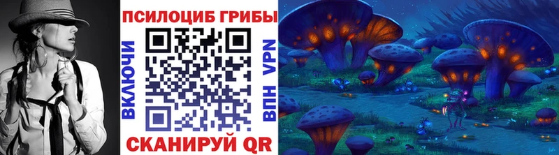 Псилоцибиновые грибы Psilocybine cubensis  Реж 